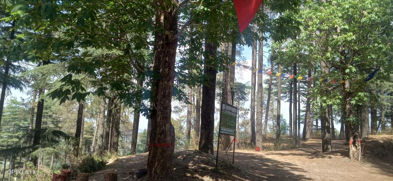 Evergreen Home Stay Алмора Экстерьер фото