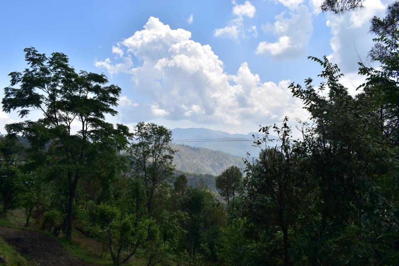 Evergreen Home Stay Алмора Экстерьер фото