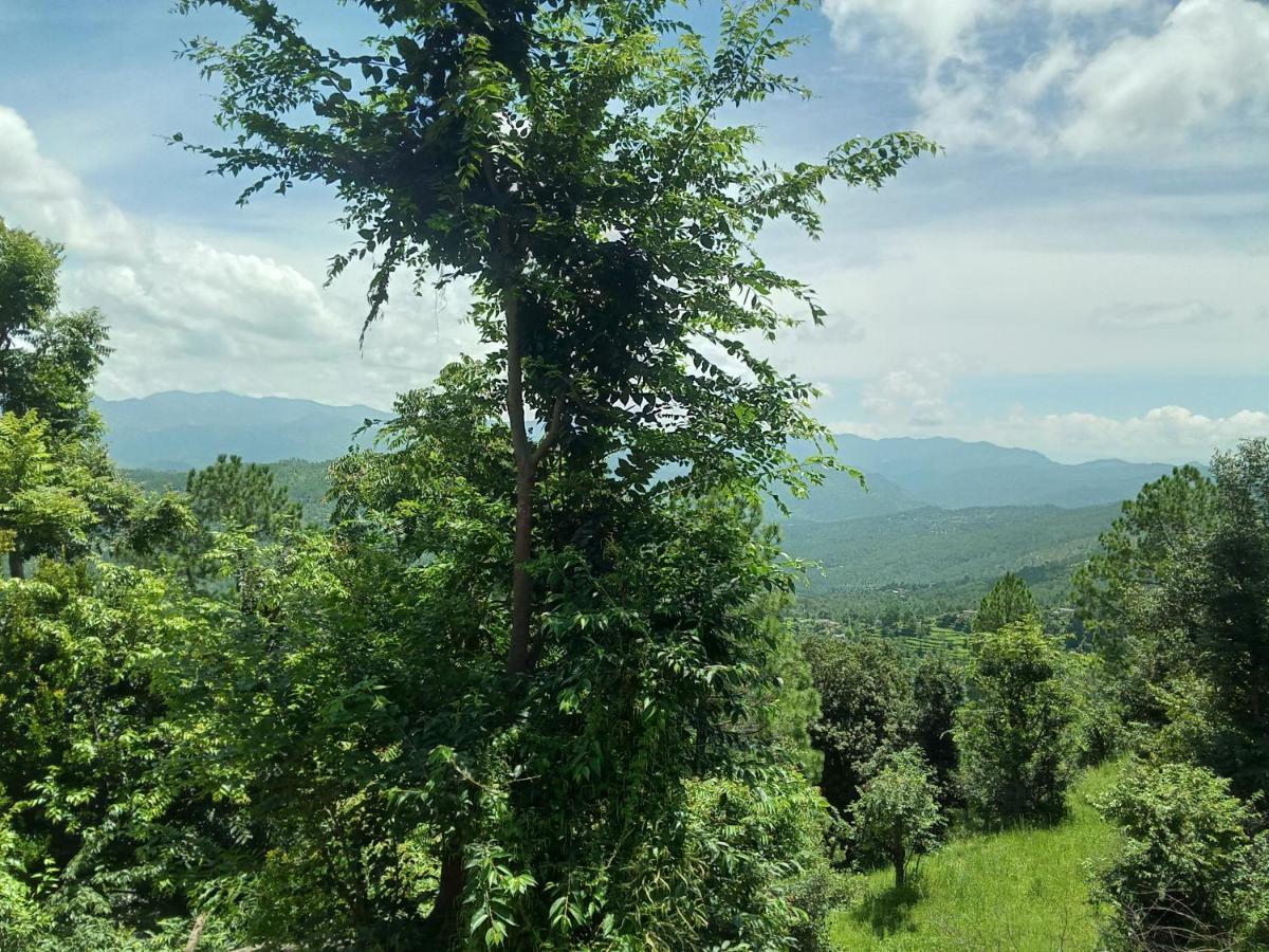 Evergreen Home Stay Алмора Экстерьер фото