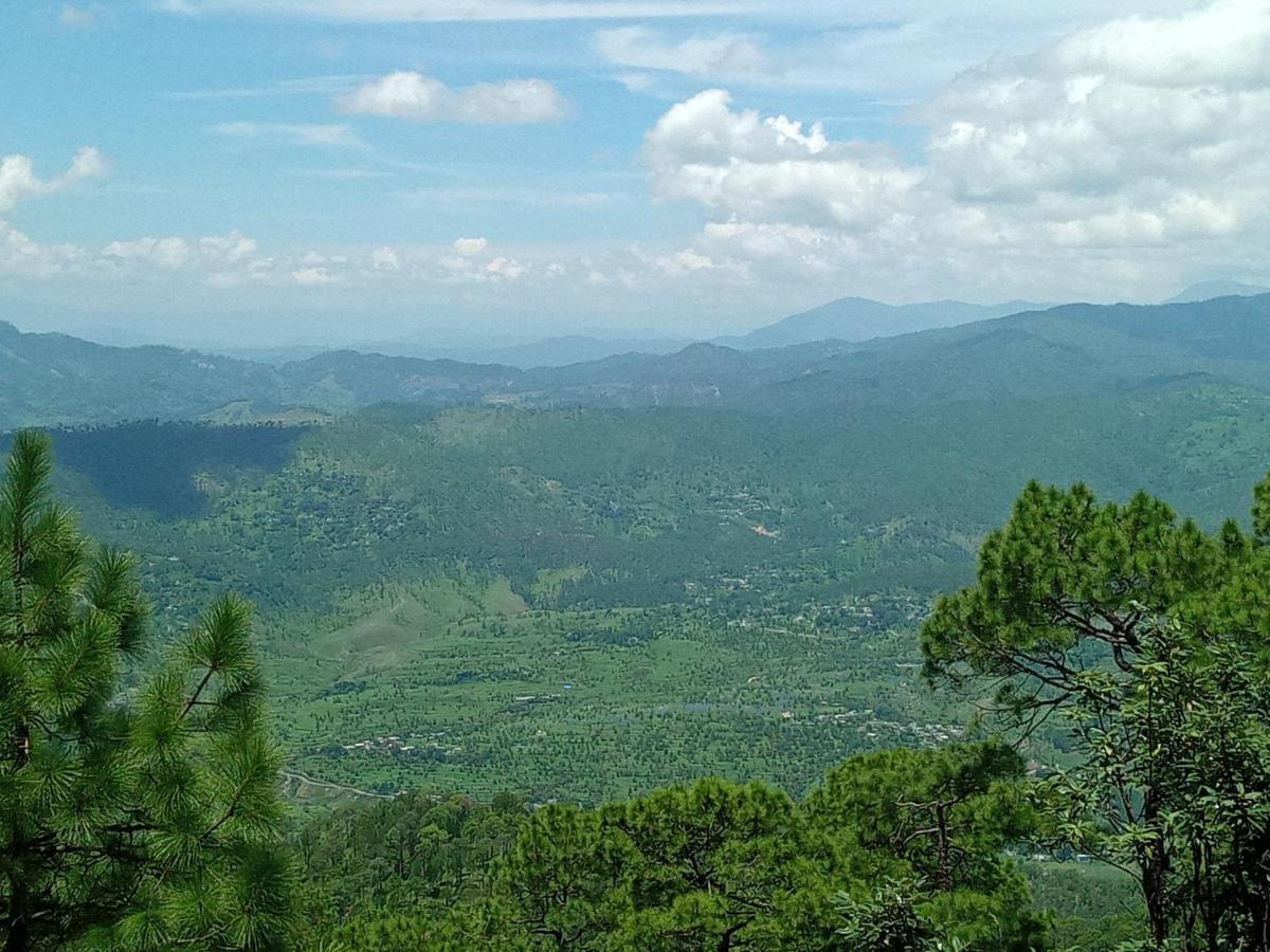Evergreen Home Stay Алмора Экстерьер фото