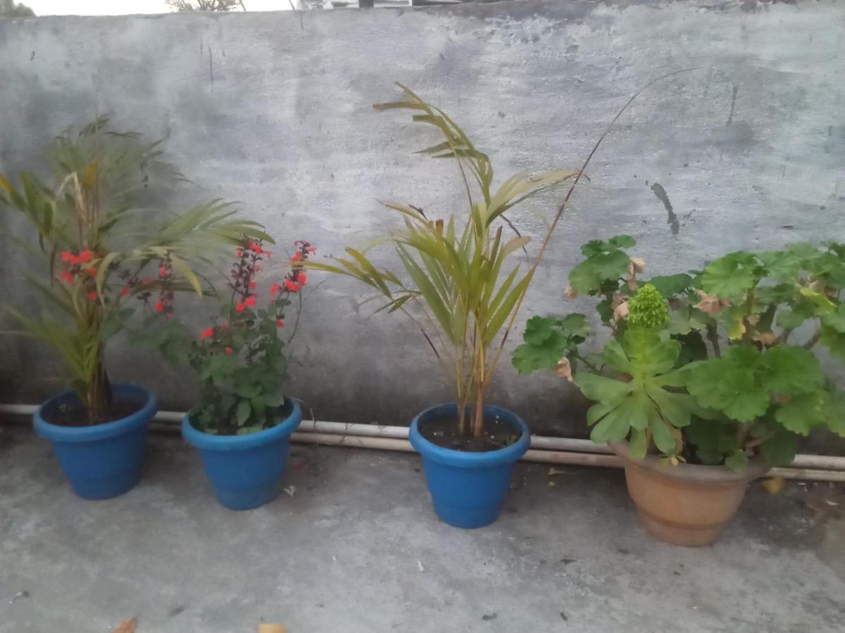 Evergreen Home Stay Алмора Экстерьер фото
